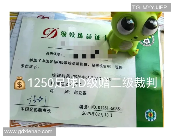 足球D级教练证的获取途径与职业发展前景分析