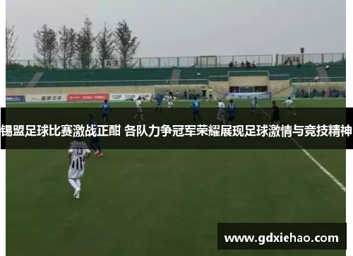 锡盟足球比赛激战正酣 各队力争冠军荣耀展现足球激情与竞技精神