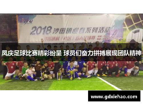 凤庆足球比赛精彩纷呈 球员们奋力拼搏展现团队精神